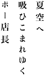 夏空へ　吸ひこまれゆく　ポー店長